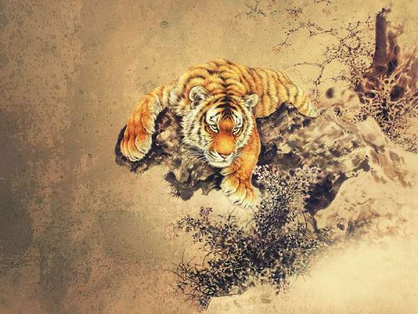 Tử vi tuổi Dần hôm nay: Đón nhận cơ hội mới, tránh rủi ro