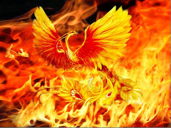 Mơ thấy chim phượng hoàng mang đến thông điệp gì