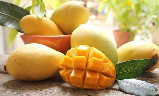 Mơ thấy quả xoài tượng trưng cho cơ hội hay cảnh báo?