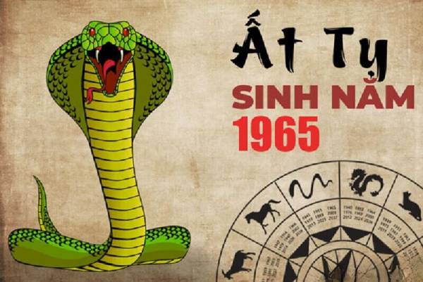 Vận trình tử vi tuổi Ất Tỵ ngày 29/8/2025 tốt hay xấu?