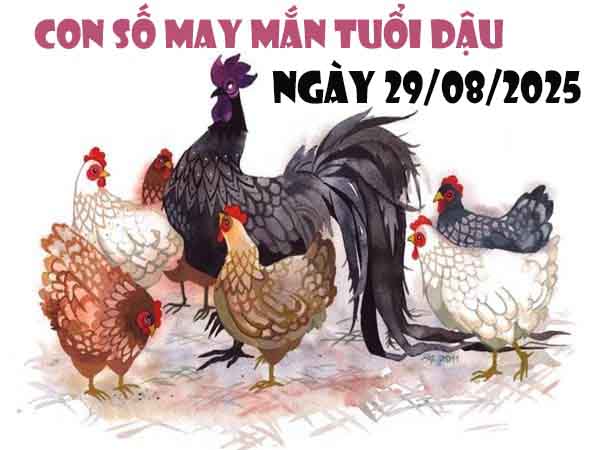 Con số lộc phát tuổi Dậu ngày 29/8/2025 thứ 6 hôm nay