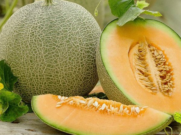 Nằm mơ thấy quả dưa vàng có thông điệp gì?