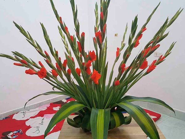 Nằm mơ thấy hoa lay ơn báo hiệu tài lộc sắp đến?