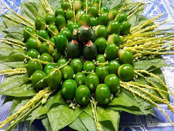 Nằm ngủ mơ thấy quả cau xanh là điềm báo tốt hay xấu?