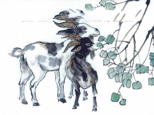 Chi tiết tử vi tuổi Quý Mùi ngày 16/10/2025 thứ 5 hôm nay