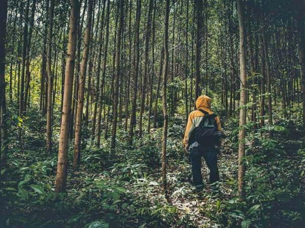 Nằm mơ thấy đi lạc đường là điềm gì? Giải mã bí ẩn giấc mơ