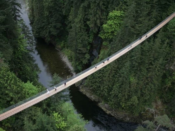 Nằm mơ thấy đi qua cầu treo, cầu gỗ mang điềm báo tốt xấu?